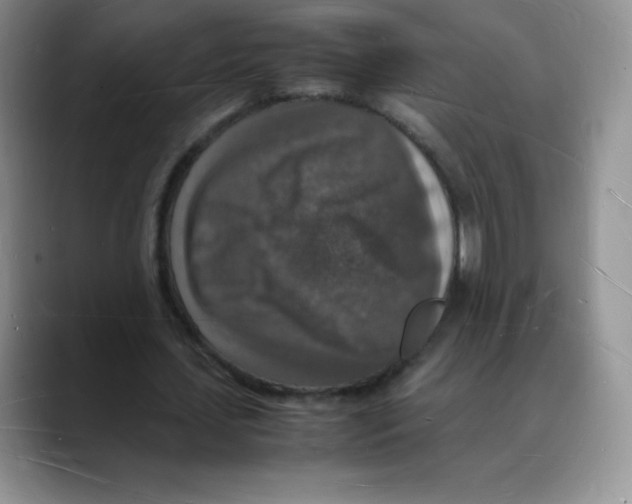 X0000088070627200706081710