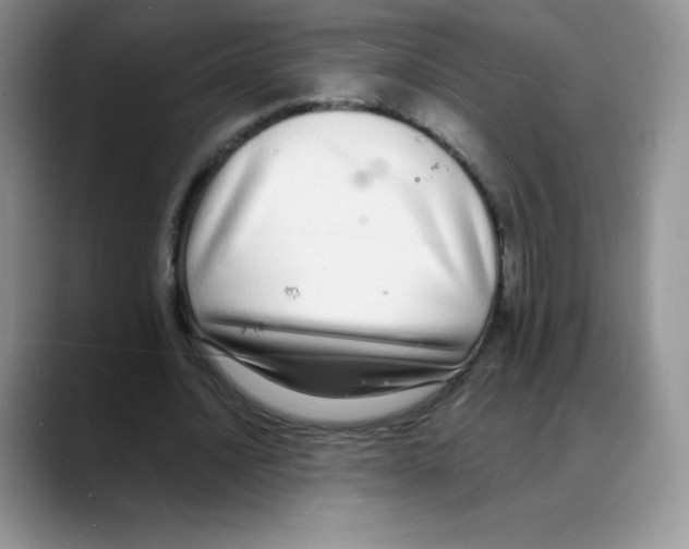 X0000088070628200706081710