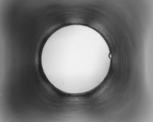 X0000088070629200706081710