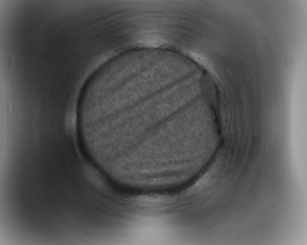 X0000088070630200706081710