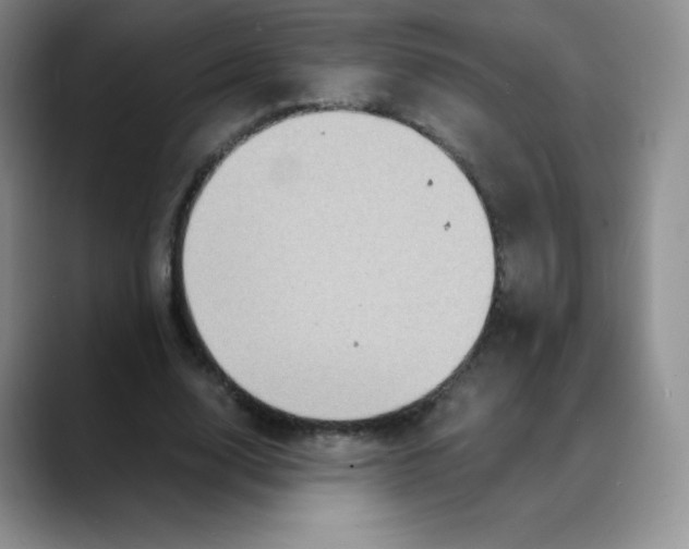X0000088070632200706081710