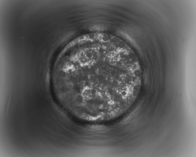 X0000088070637200706081710