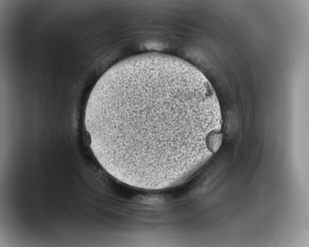 X0000088070639200706081710