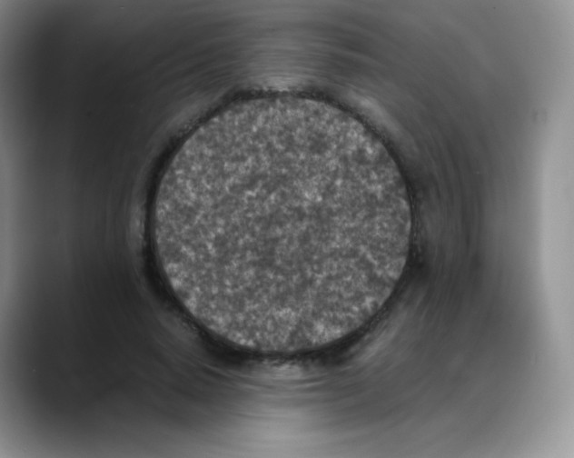 X0000088070640200706081710