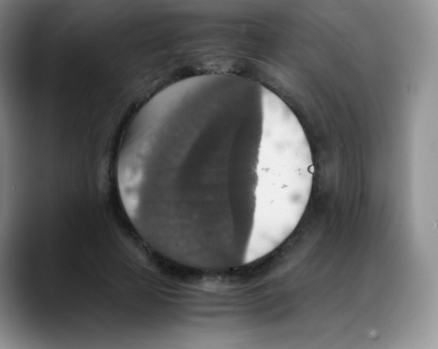 X0000088070641200706081710