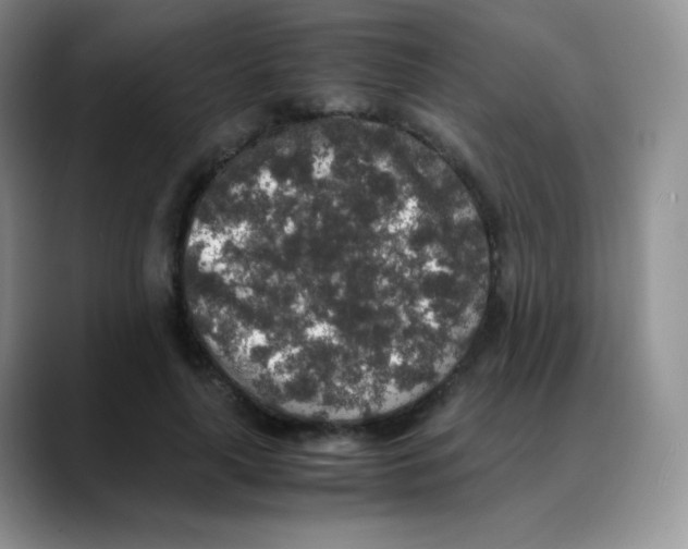 X0000088070643200706081710