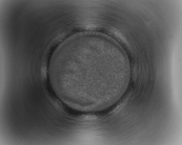 X0000088070644200706081710