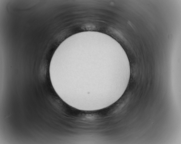 X0000088070645200706081710