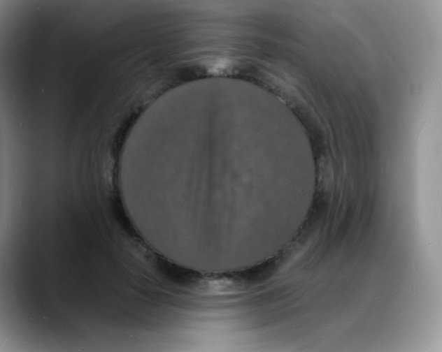 X0000088070650200706081710