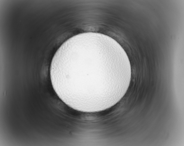 X0000088070652200706081710