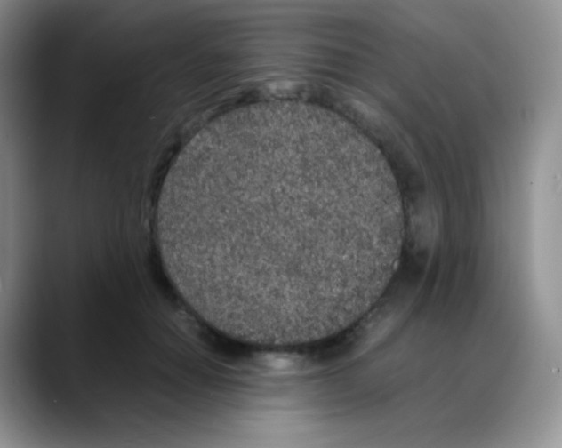 X0000088070654200706081710