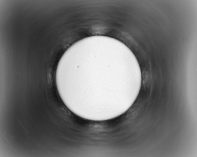 X0000088070655200706081710