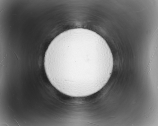 X0000088070656200706081710