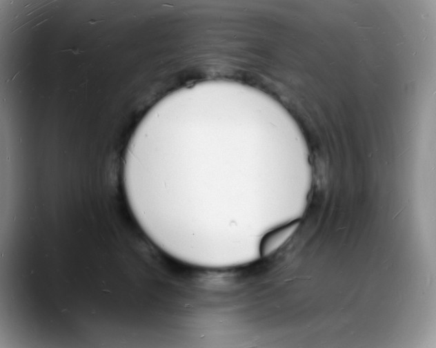 X0000088070664200706081710