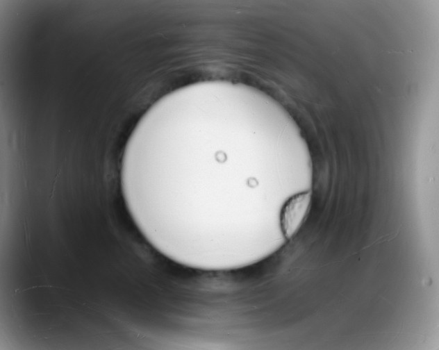 X0000088070666200706081710