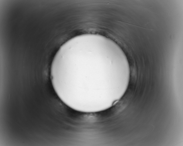 X0000088070668200706081711