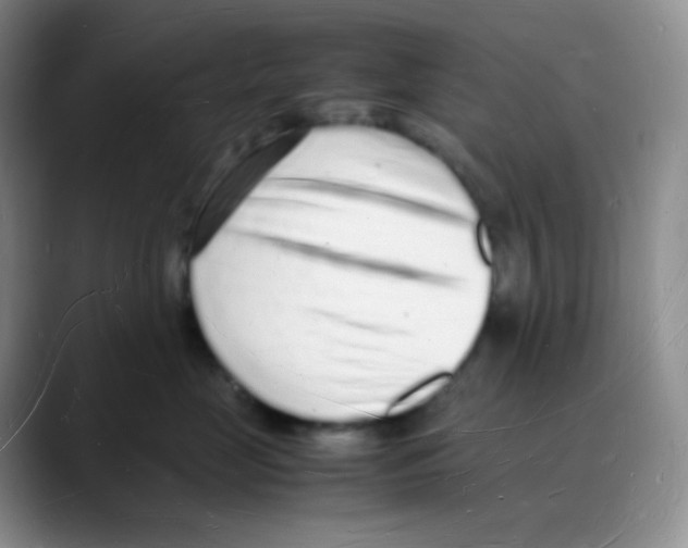 X0000088070669200706081711