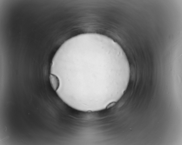 X0000088070670200706081711