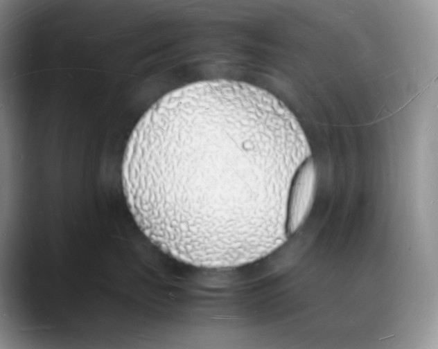 X0000088070671200706081711