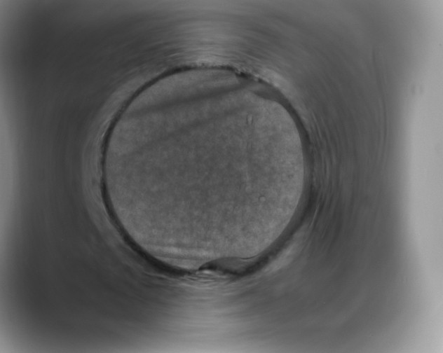 X0000088070673200706081710