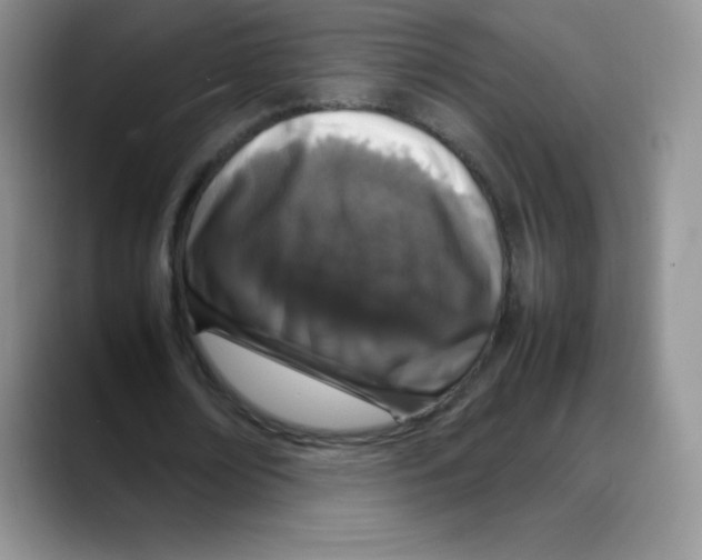 X0000088070674200706081710