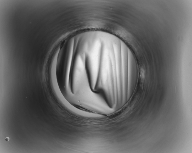 X0000088070676200706081710