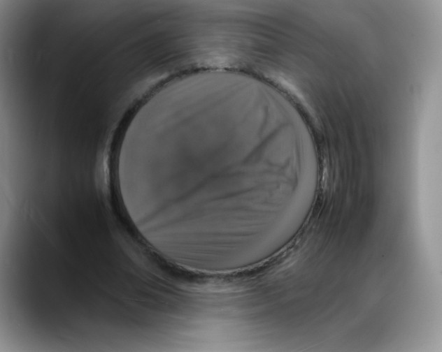 X0000088070678200706081710