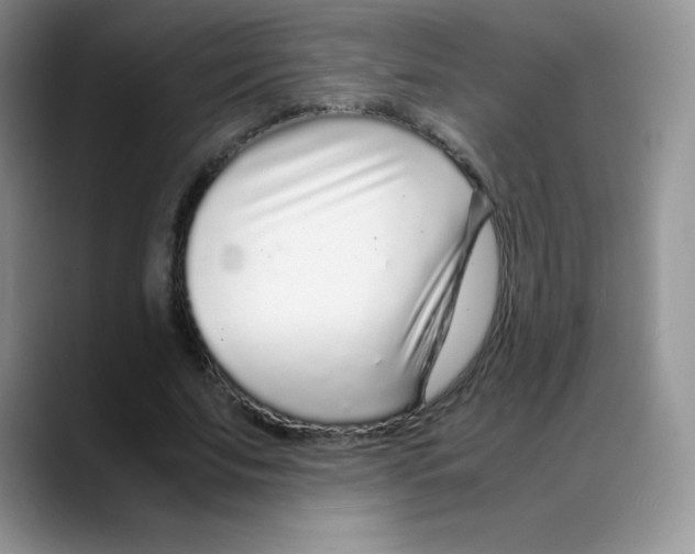X0000088070679200706081710