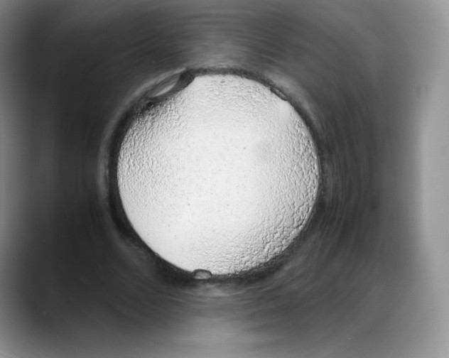X0000088070680200706081710