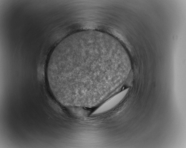 X0000088070681200706081710