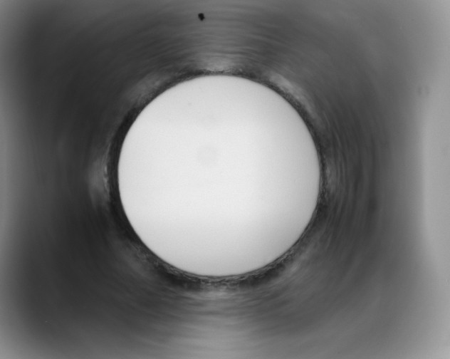 X0000088070682200706081710
