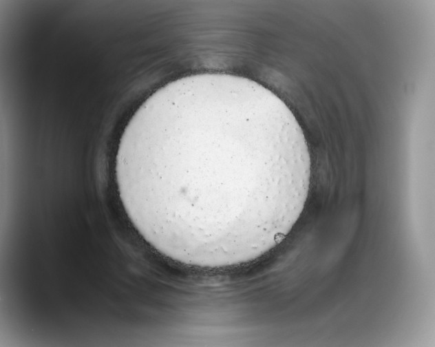 X0000088070683200706081710