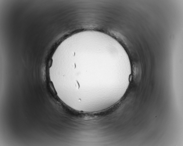 X0000088070684200706081710