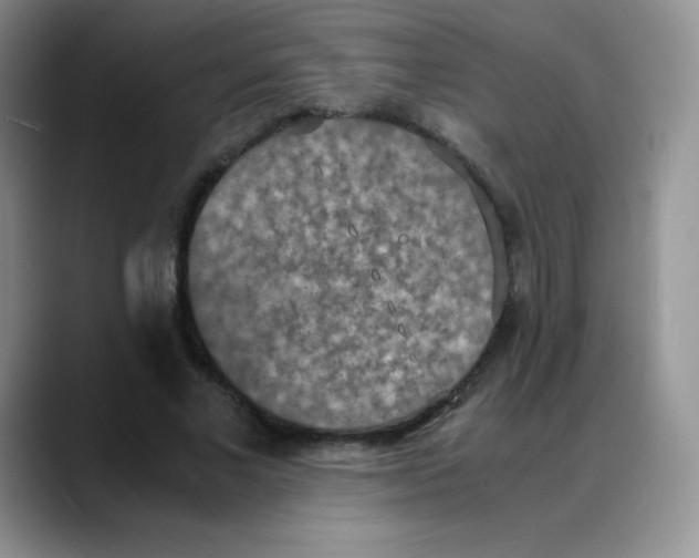 X0000088070685200706081710