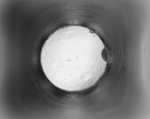 X0000088070687200706081710