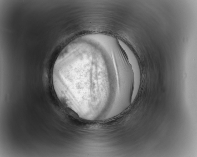 X0000088070688200706081710