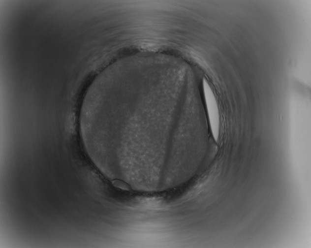 X0000088070689200706081710