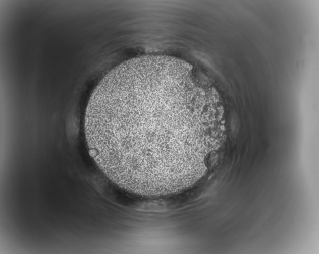 X0000088070691200706081710