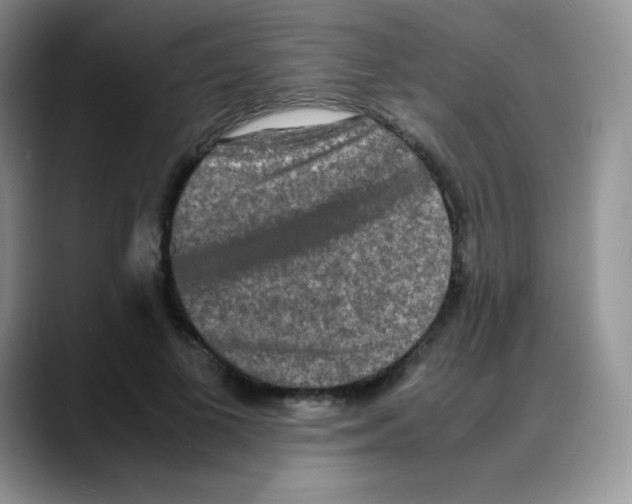 X0000088070693200706081710