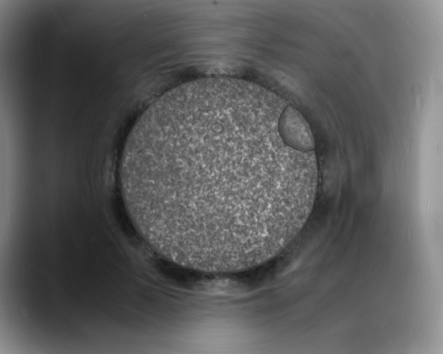 X0000088070695200706081710