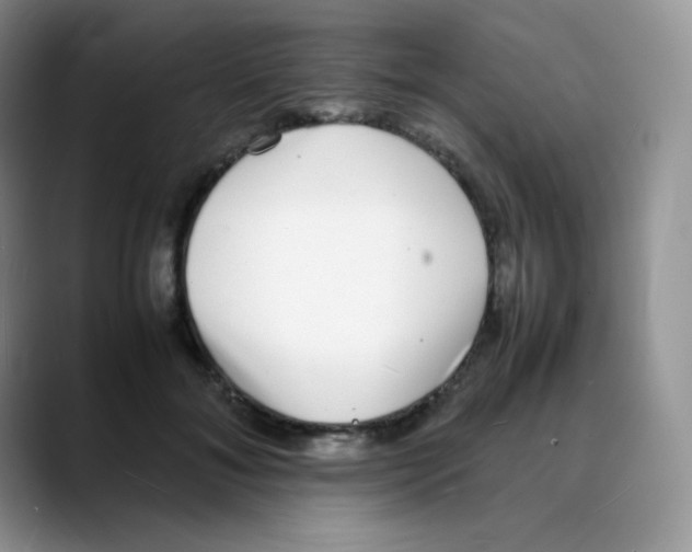 X0000088070700200706081710