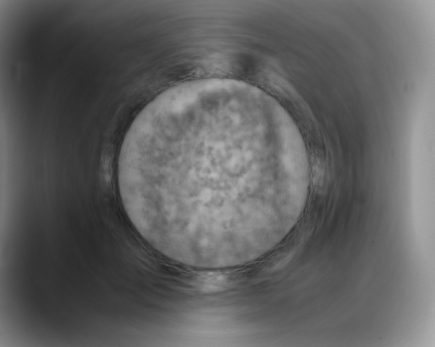 X0000088070701200706081710