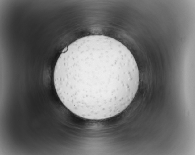 X0000088070702200706081710