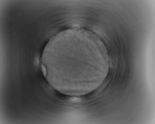 X0000088070718200706081709