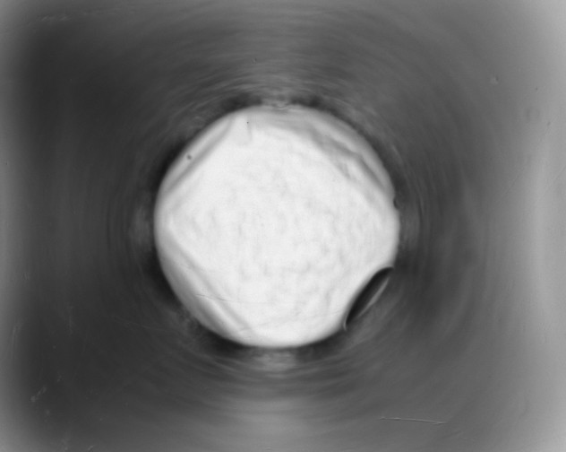 X0000088070719200706081709