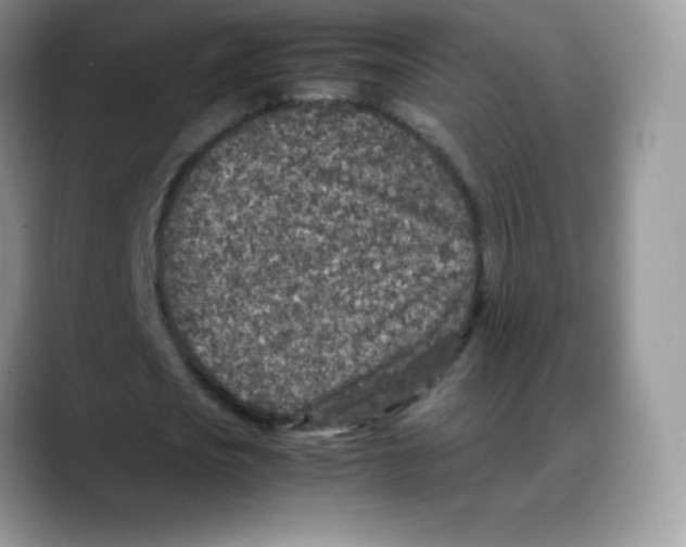 X0000088070721200706081709