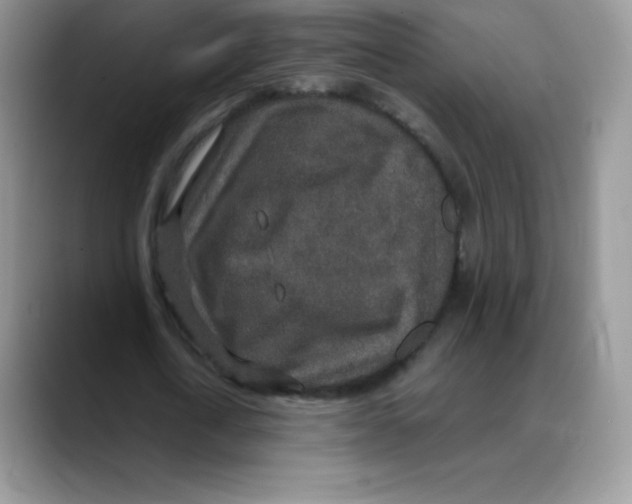 X0000088070722200706081709