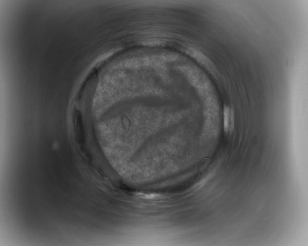 X0000088070723200706081709