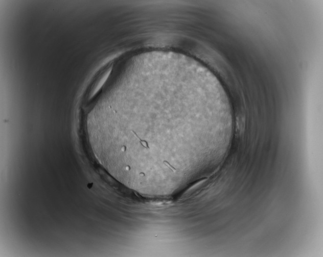 X0000088070724200706081709