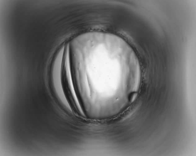 X0000088070725200706081709